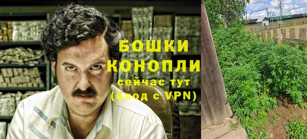 эйфоретик Бородино