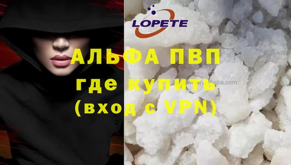 эйфоретик Бородино