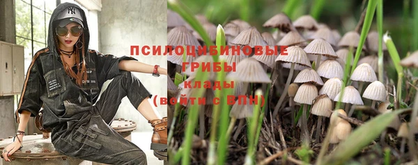 эйфоретик Бородино