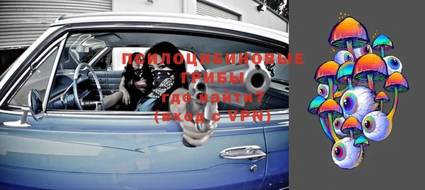 эйфоретик Бородино