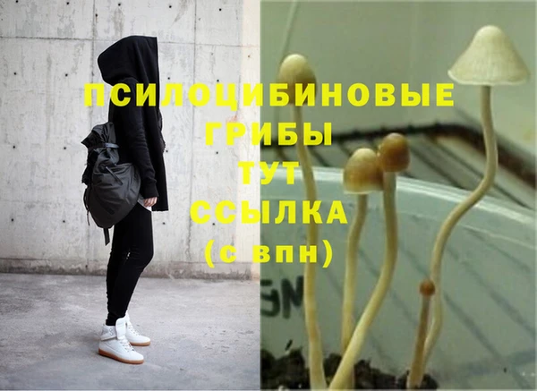 каннабис Бронницы