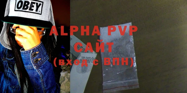 эйфоретик Бородино