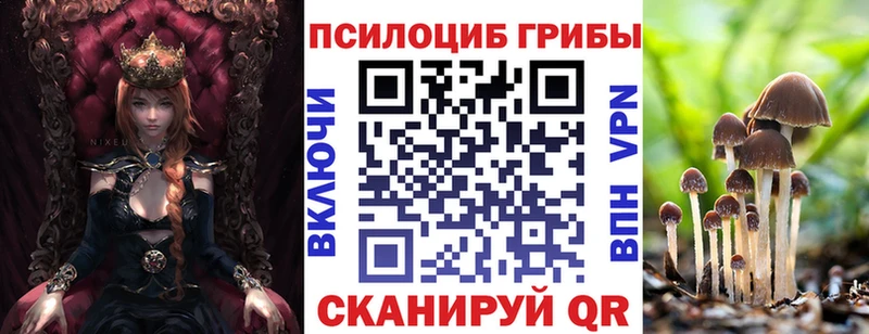 Галлюциногенные грибы Psilocybine cubensis  наркотики  Александровское 
